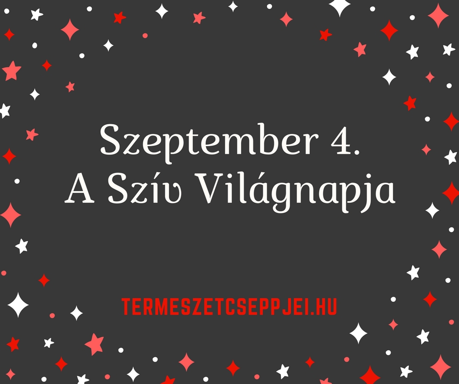 Angol-magyar online szótár