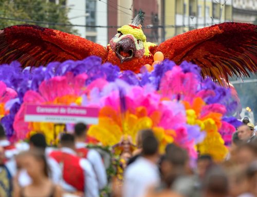 Virágba borul Debrecen – karnevál gyógyító virágokkal