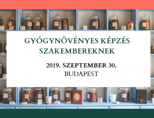 wellness az élet súlycsökkenése érdekében kernersville