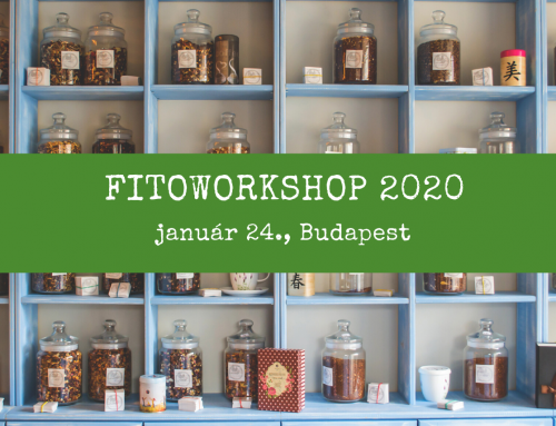 FITOWORKSHOP 2020 – ELSŐ ÁLLOMÁS – BUDAPEST