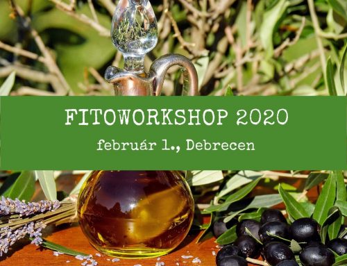 Fitoworkshop 2020 – Debrecenben is!